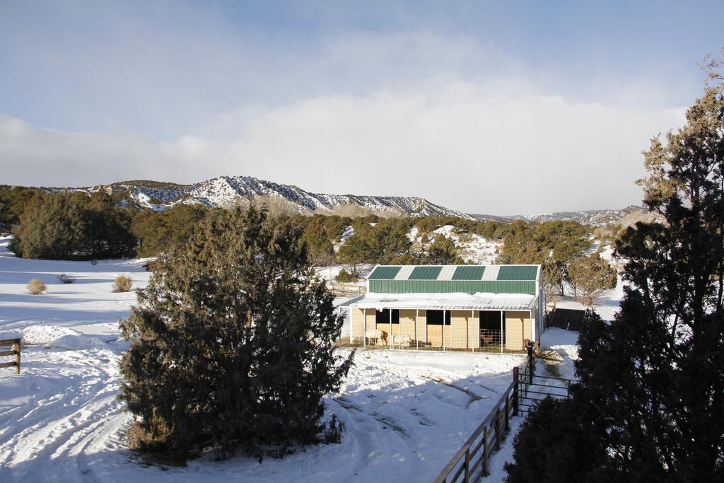 Mountain Goat 4*